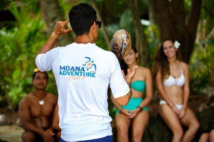 Coconut show : your guide will explain you how to open a coconut