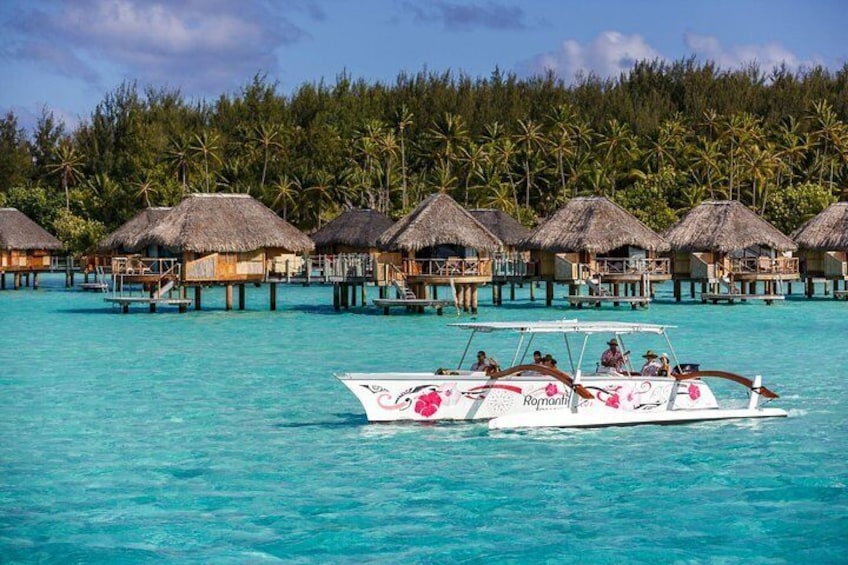 Snorkel with sharks and stingrays