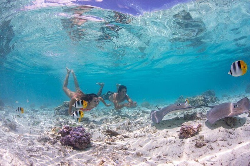 Bora Bora Eco Snorkel Cruise Including Snorkeling with Sharks and Stingrays