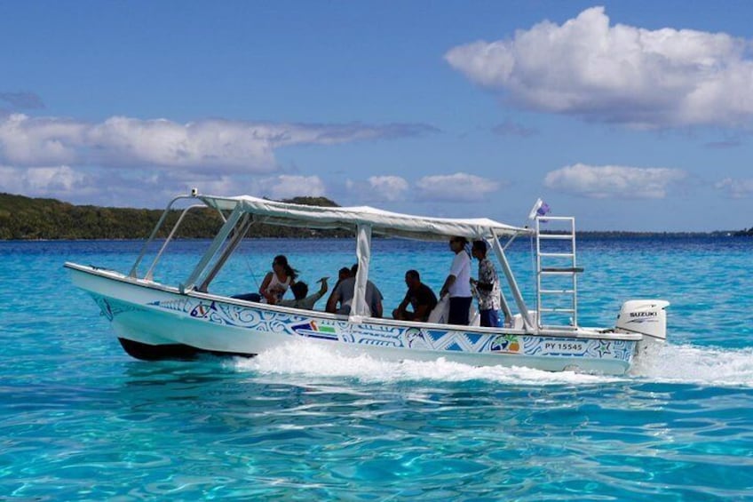 Bora Bora Eco Snorkel Cruise Including Snorkeling with Sharks and Stingrays