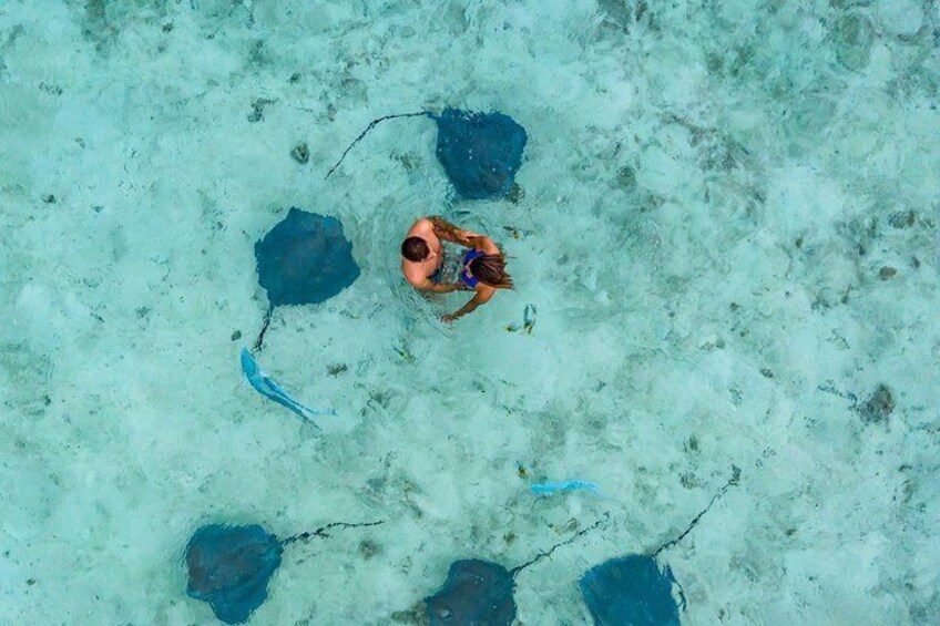 Bora Bora Eco Snorkel Cruise Including Snorkeling with Sharks and Stingrays