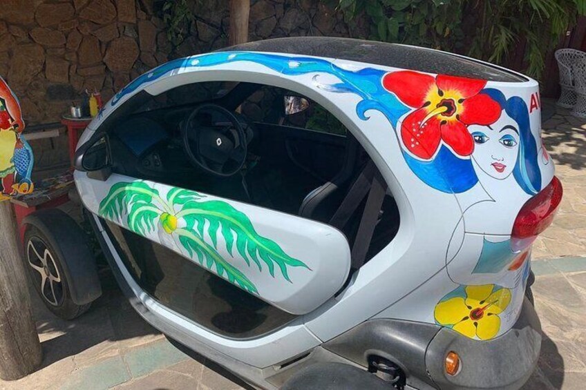 Tatoo twizy
