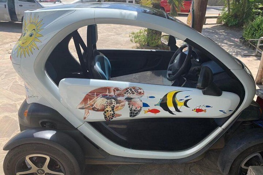 Full-Day Private Bora Bora Electric Car Rental
