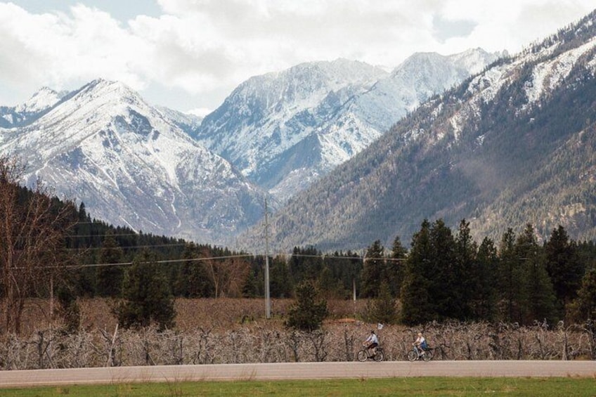 Mountain View E-Bike Experience