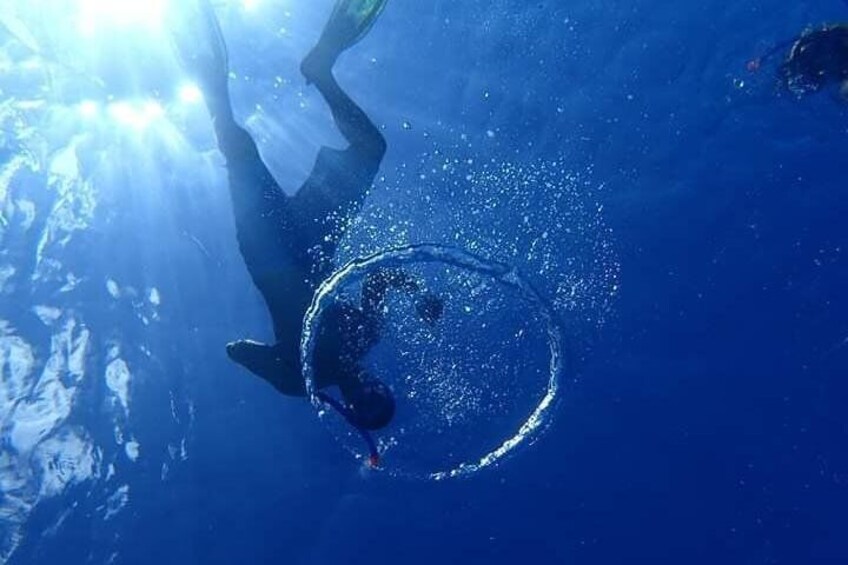 Combo Diving and Snorkeling Half-Day Tour