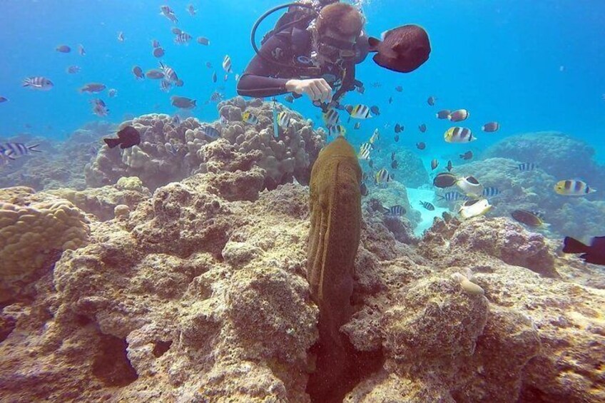 David and eel