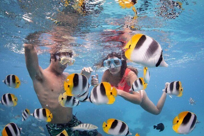 Private Snorkeling
