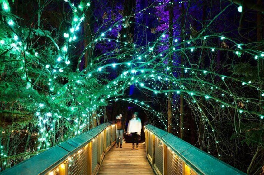 Canyon Lights at Capilano Suspension Bridge
