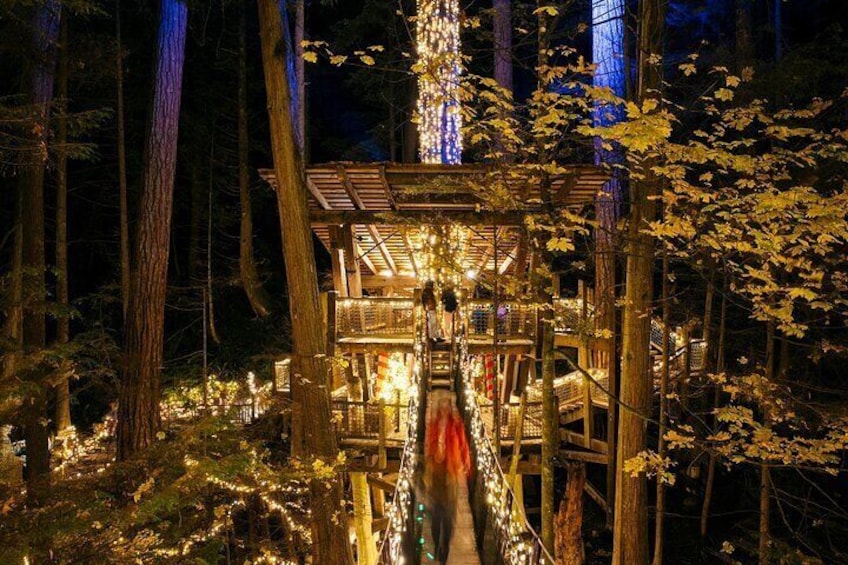 Small Group Tour: Vancouver Sightseeing and Capilano Suspension Bridge