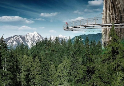Lille gruppetur: Vancouver Sightseeing og Capilano Suspension Bridge