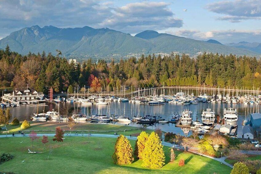Private Tour: Vancouver Sightseeing and Capilano Suspension Bridge