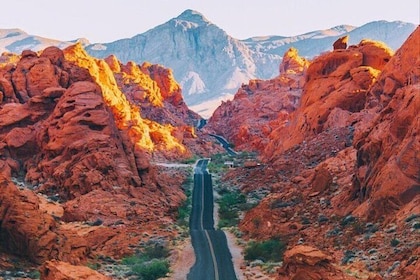 Valley of Fire and Mojave Desert Day Tour from Las Vegas