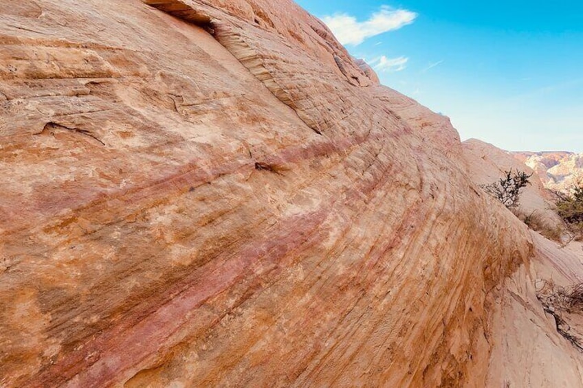 One of the few unique colors of Valley of Fire. 