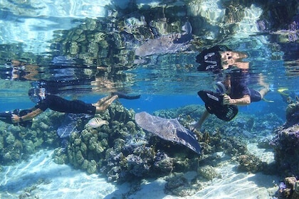 Sea Scooter Jet snorkeling "Moorea Reef Adventure"