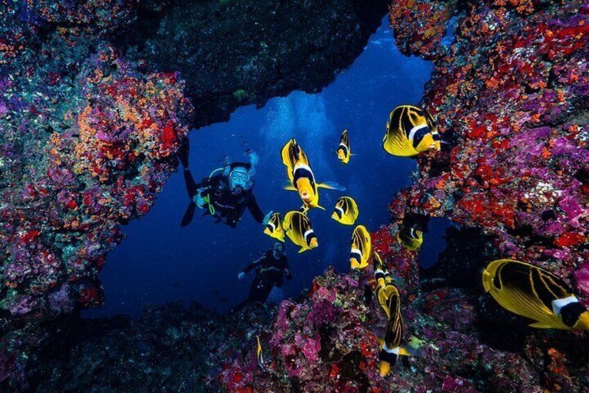 2 Tank Lanai Cathedral Dive