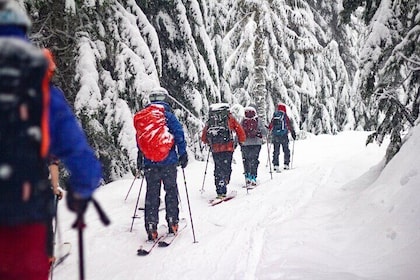 Whistler Intro to Backcountry Skiing and Splitboarding