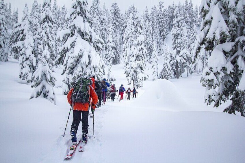 Whistler Intro to Backcountry Skiing and Splitboarding