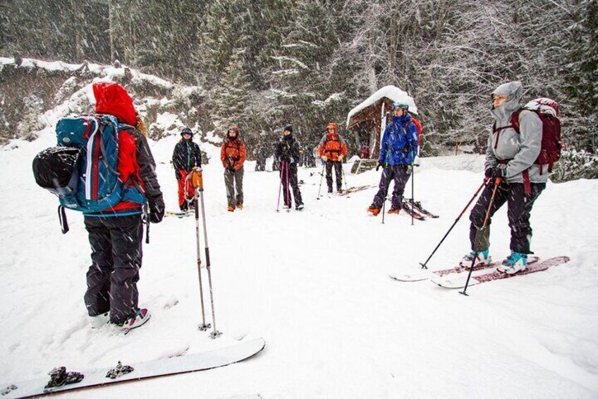 Whistler Intro to Backcountry Skiing and Splitboarding