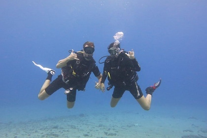 Two Person Private Dive in Lahaina