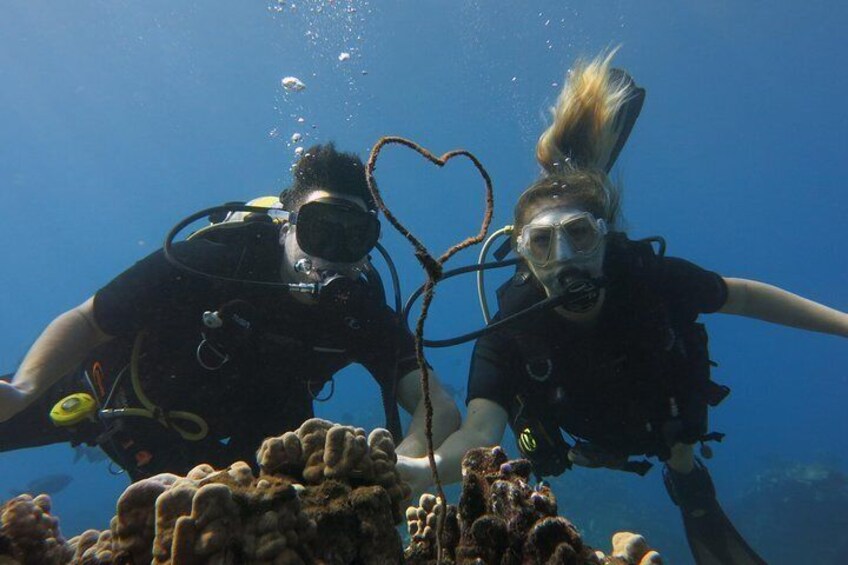 Enjoy a romantic Private Dive for 2 on your honeymoon!