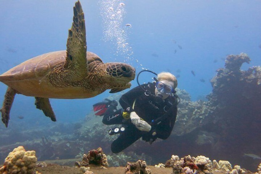 Your private dive for 2 allows for extra turtle time.