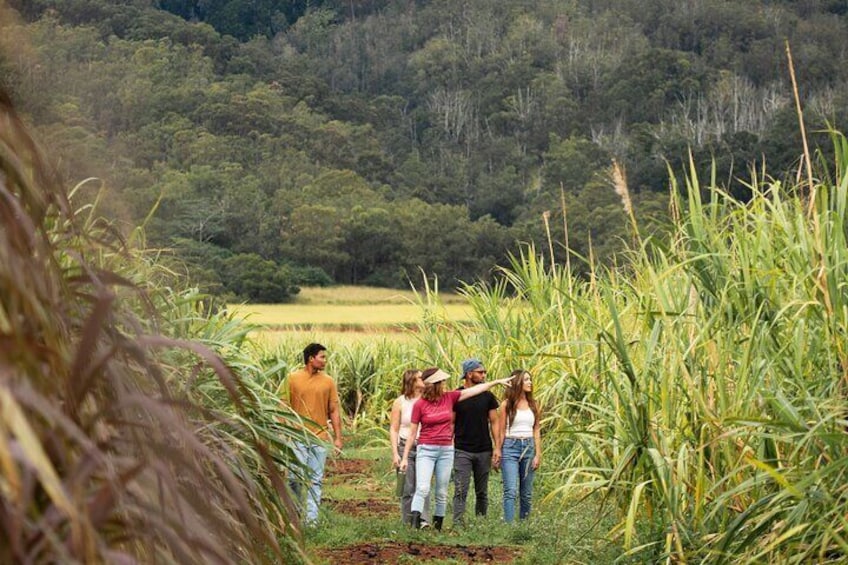 Ko Hana Rum Tour and Tasting