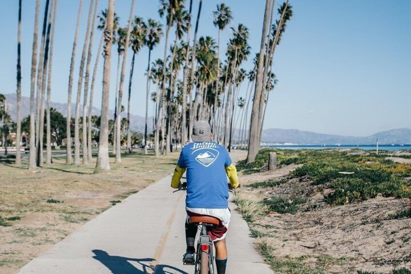 palm trees, blue skies, beachside, ebike, perfect day.