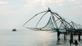 Cochin Private Half-Day Tour