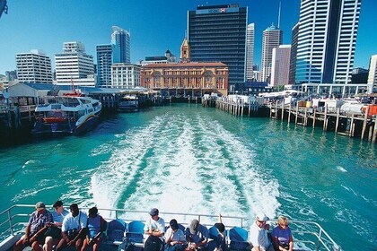 Auckland City Sightseeing Tour