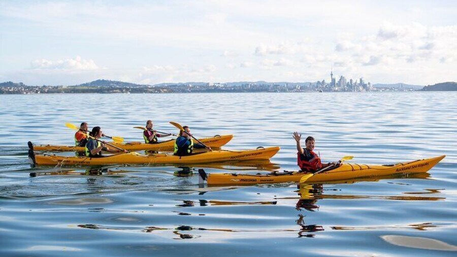 Day sea kayak tour Rangitoto Island