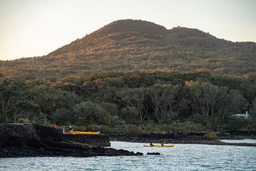 Day sea kayak tour Rangitoto Island