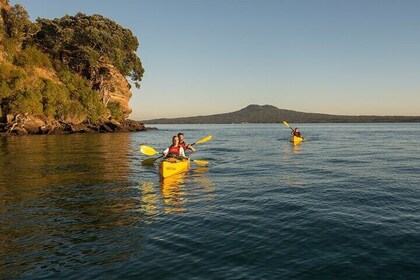 Day sea kayak tour Rangitoto Island