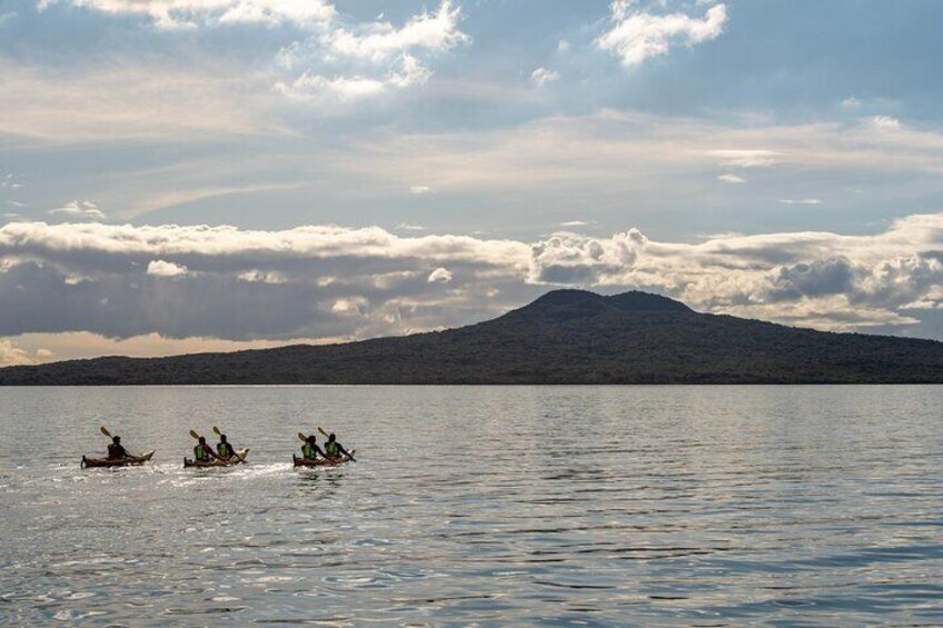 Day sea kayak tour Rangitoto Island