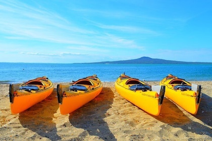 Day sea kayak tour Rangitoto Island