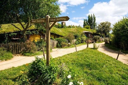 オークランドからホビトン・ムービー・セットまでの豪華少人数ツアー