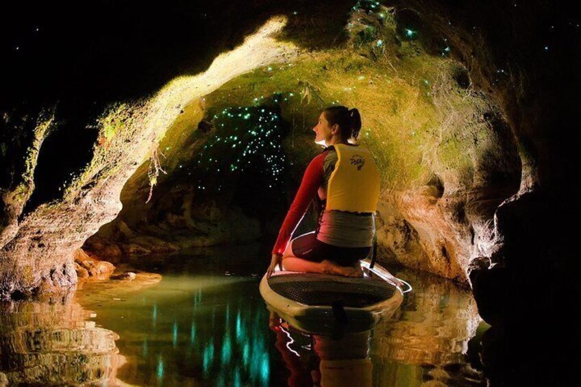 Inside the Glow Worm Cave