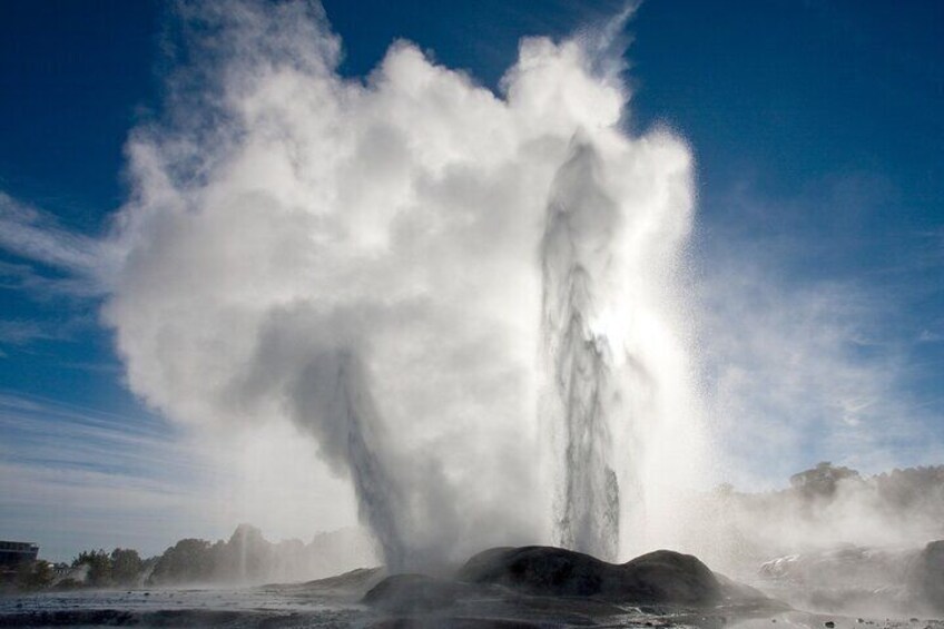 Te Puia & Hells Gate incl. Mud Spa Experience Private Tour