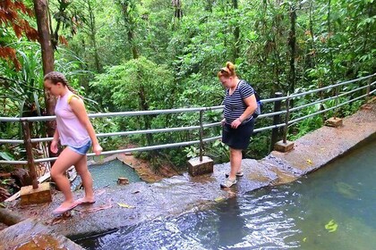 Customised Suva day tour