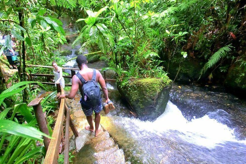 Customized Suva day tour