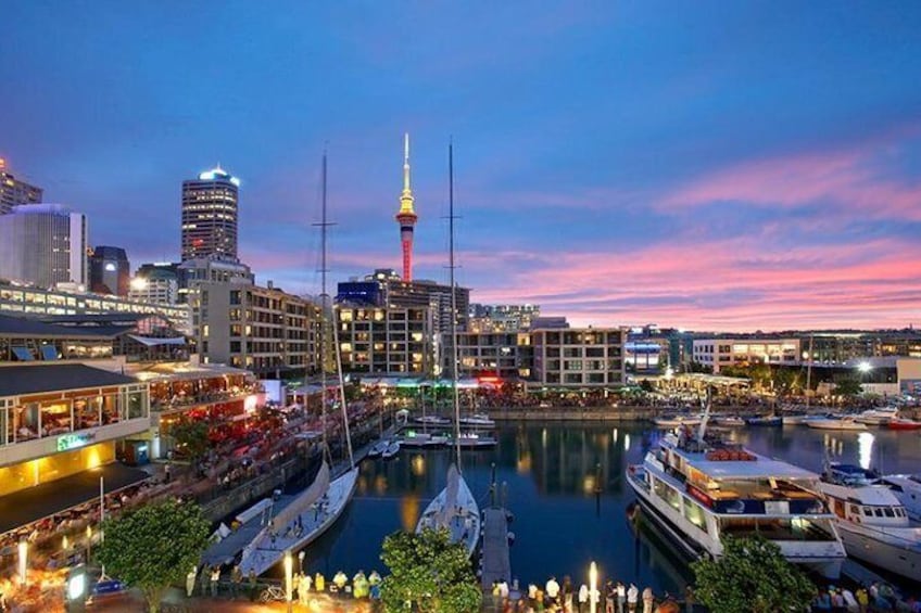 Auckland Harbor 