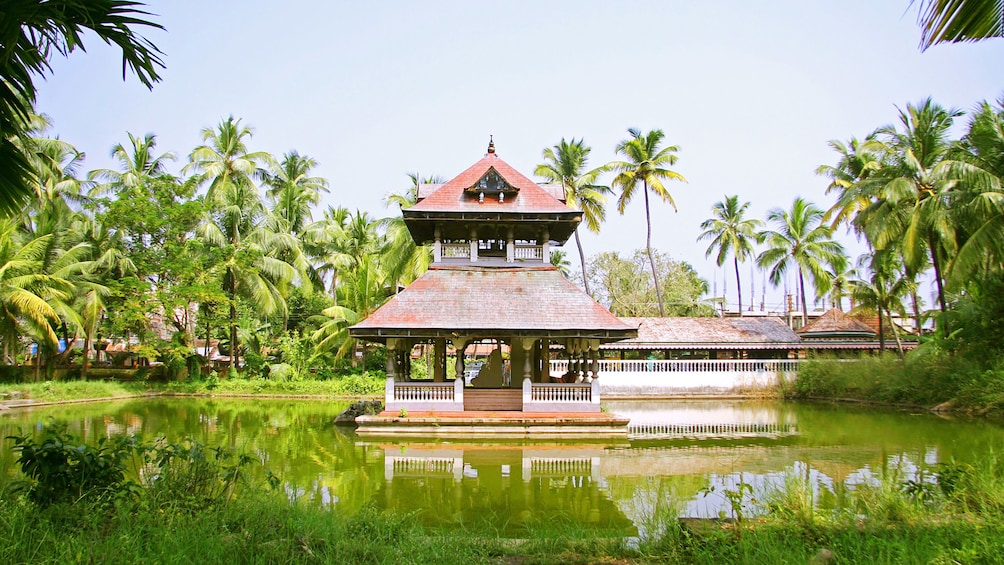 Scenic view of the Alleppey Backwaters in Kochi 