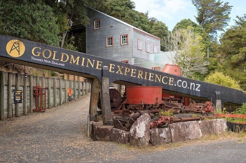 Coromandel Private Day Tour