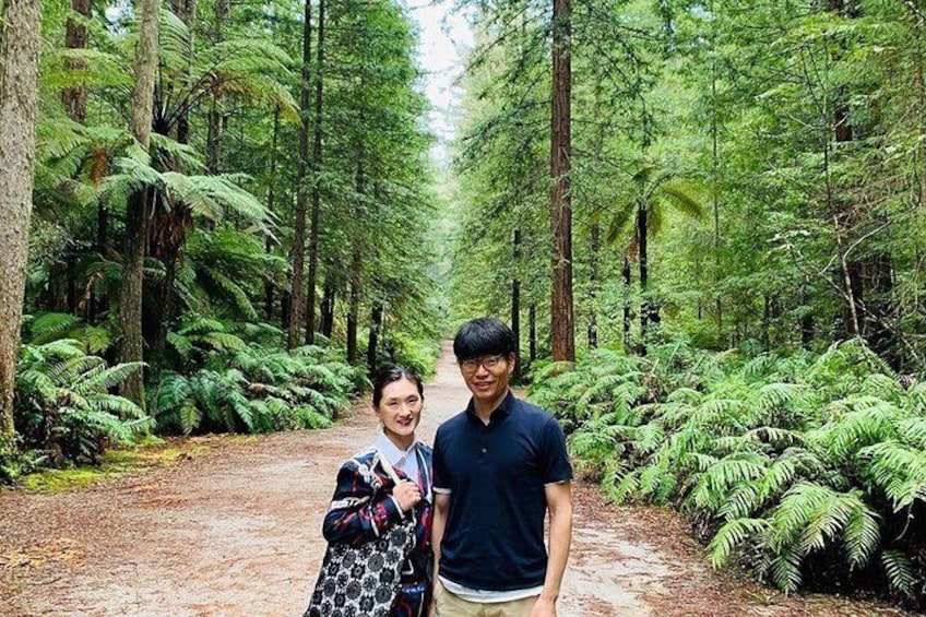 Blue Springs, Redwood Forest and Huka Falls oneday tour