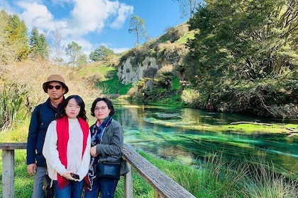 [Stevong] Blue Springs, Redwood Forest, Huka Falls Private tour