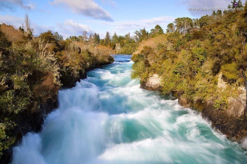 Blue Springs, Redwood Forest and Huka Falls oneday tour