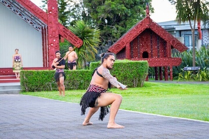 20 Day New Zealand Uncovered Haka Plus Tour