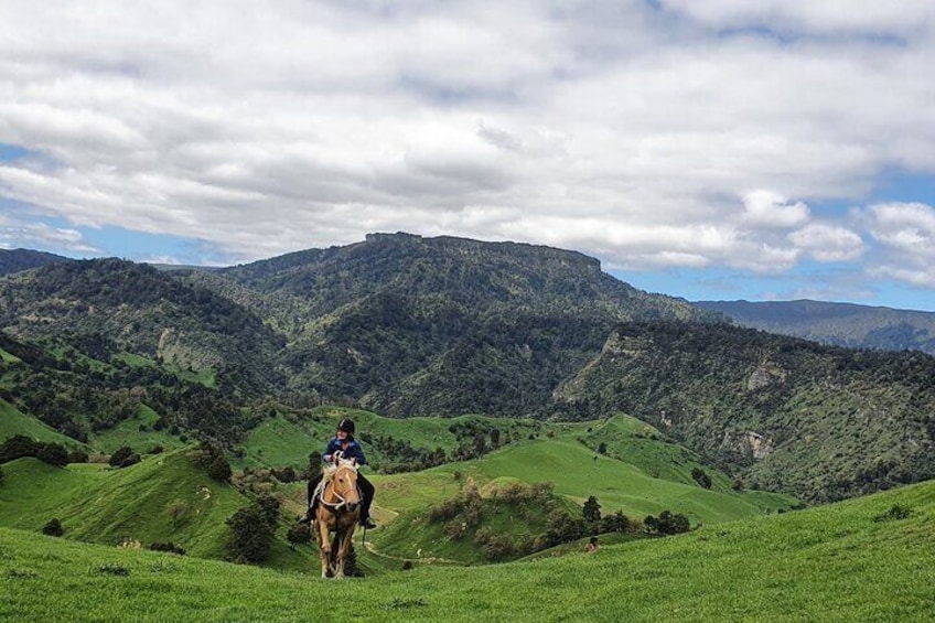 Spectacular views over NZ hill country