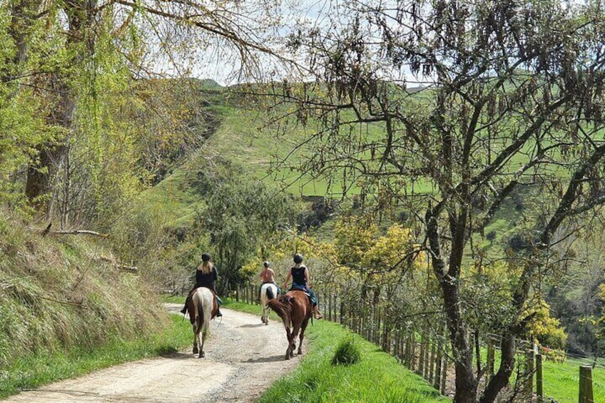 River Valley Stables - Harmony With Horses, Half Day Horsemanship & Trek