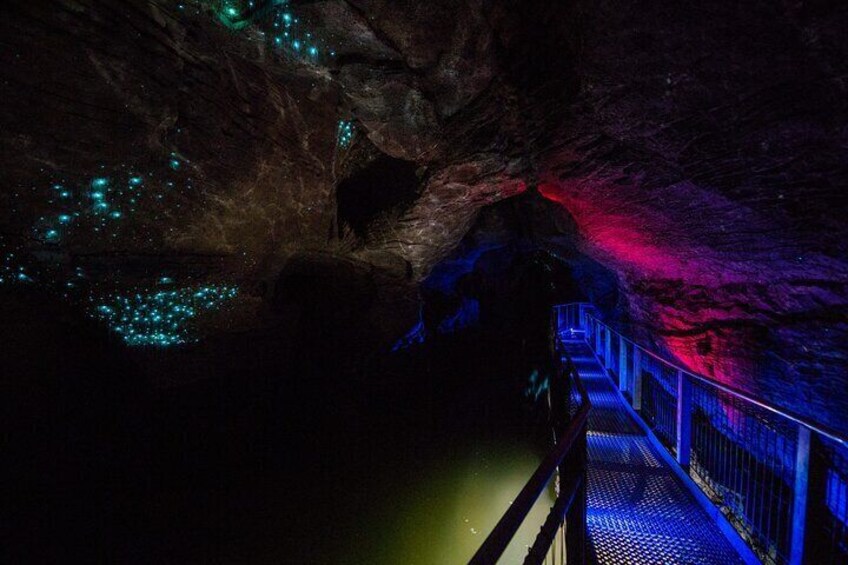 Ruakuri Caves