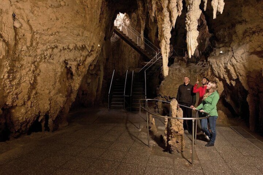 Waitomo Glowworm Caves Stalactites